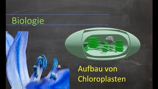 Aufbau von Chloroplasten [upl. by Tani]