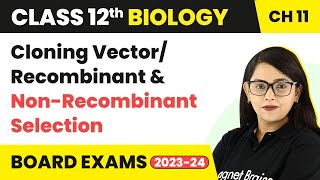 Cloning Vector Recombinant amp NonRecombinant Selection  Class 12 Biology Ch 11 NCERTNEET 202223 [upl. by Esiuqram]