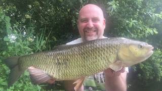 chub fishing at throop fishery beat two the river stour [upl. by Ahsait]