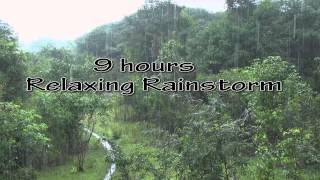 Heavy Rainfall Thunder soundsSleepRelaxFocusMeditateHD 1080p [upl. by Dulcea]