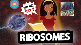 RIBOSOMESZoologywallah6767 [upl. by Ralyat]