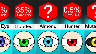 Comparison Different Types Of Eyes [upl. by Penelopa]