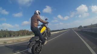 Yamaha XSR900  Best ever motorcycle for wheelies [upl. by Ofori]