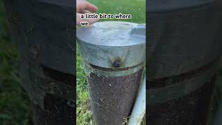 Don’t Ignore Damaged Wiring in Your Well Cap [upl. by Niar]