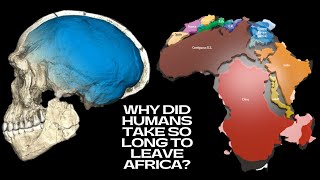 Why Did Modern Humans Take So Long to Leave Africa [upl. by Wey]