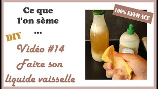 14 DIY 👌  Ma recette du liquide vaisselle quotmaisonquot 100 efficace [upl. by Fredra]