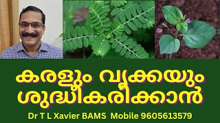 ഈ ഇലകൾ ഇങ്ങനെ  Power of Ayurvedic Herbs for Liver amp Kidney [upl. by Windzer229]