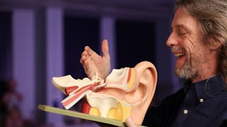 Acoustic reflex anatomy middle ear muscle reflex stapedial reflex [upl. by Budwig]