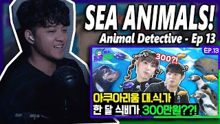 Choi Yena w Sungmin  Animal Detective Episode 13 Seals amp Aquarium Animals  REACTION [upl. by Aropizt]