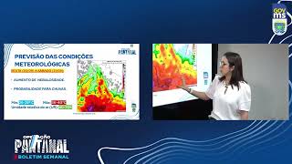 Mato Grosso do Sul enfrenta a pior estiagem em 124 anos [upl. by Ronoel]