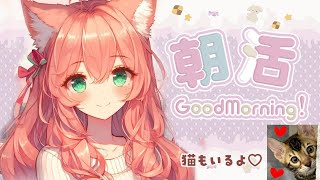 【🔴 朝活歌枠 537日目】高評価600耐久！初見さん大歓迎✨ ゆっきんらいぶ 【博多弁猫Vtuber】 [upl. by Maureen]