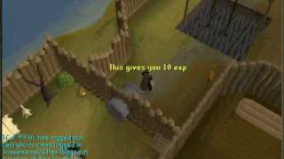 Runescape Barbarian Outpost Agility Course Guide [upl. by Dietrich]