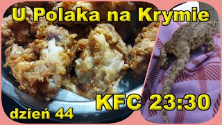 U Polaka na Krymie dzień 44  KFC 2330 [upl. by Lough]