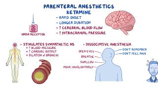 General Anesthetics  OSMOSIS CNS ANS Pharmacology drugs 🔥 [upl. by Narib]