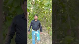 Utra na dil me koitrending trendingshorts viralvideo videos [upl. by Ilek]