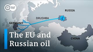 What a ban on Russian oil could mean for Russia and the EU  DW News [upl. by Ecnadnak]