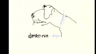 Damien Rice  The Professor amp La Fille Danse Live at Wisseloord Studios [upl. by Carlyle]