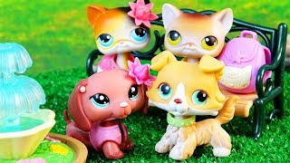 LPS Summertime Romance Film [upl. by Dorisa263]