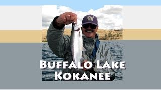 Buffalo Lake Kokanee [upl. by Ialda]