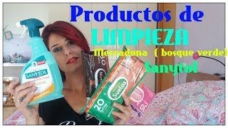 Productos de LIMPIEZA  MERCADONA SANYTOLToallitas Baño Suelo  Cristales y Muebles [upl. by Angadreme]