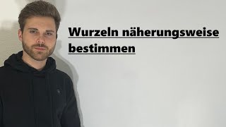 Wurzeln näherungsweise bestimmen  Verständlich erklärt [upl. by Sammer981]