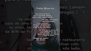 ☆Fatos Bizarros☆  shortsfpyeditCapCutlikesubscribenflopaviralizaJesusrumoaos4k ✨✨ [upl. by Giordano]