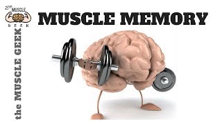 क्या होता है muscle memory  What is muscle memory and how does it work HINDI [upl. by Yecrad]