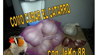 COMO CURAR CATARRO [upl. by Elockcin]