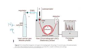 Gas ChromatographyGas LiquidGas SolidChromatogramGC MSLC MSMass SpectrometryUrduHindisaad [upl. by Naened]