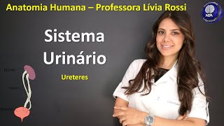 Anatomia Humana  Sistema Urinário  Ureteres [upl. by Viddah492]