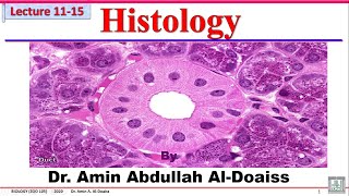 Human Biology Lecture 11 Histology  Epithelial tissue [upl. by Brittaney]