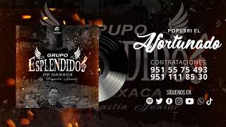 Esplendidos De oaxaca ★ Popurri El Afortunado Live 2024 ✔ [upl. by Leal]