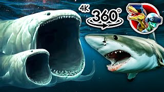 360° Bloop Vs Scary Shark  360 video 4K [upl. by Einafats]