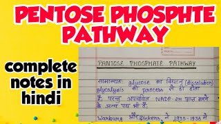 Pentose phosphte pathway ppp complete explanation in hindi [upl. by Khichabia]