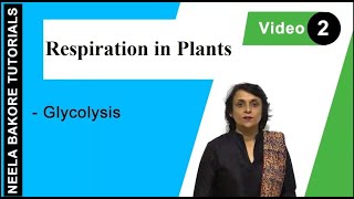 Respiration in Plants  NEET  Glycolysis  Neela Bakore Tutorials [upl. by Akineg]