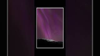 Incredible Northern Lights in Alaska 10724 shorts [upl. by Nyrek172]