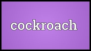 Cockroach Meaning [upl. by Wernda]