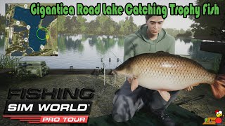 Gigantica Road Lake Catching Trophy Fish Fishing Sim World Pro Tour [upl. by Niffirg635]