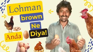 Aaj Lohmann Brown Ne Anda Diya [upl. by Suitangi]