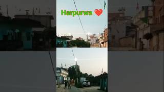 live artist harpurwa Bajpatti Sitamarhi Allahuakbar Islami [upl. by Aneerol]