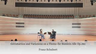 Introduction and Variations on a Theme Ihr Bümlein Alle Op160  Franz Schubert [upl. by Htebaras802]