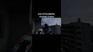 КАК УСТАНОВИТЬ ANOMALY CUSTOM stalker сталкер edit stalkergame [upl. by Scrivens]