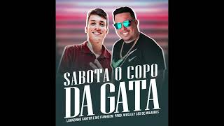 Sabota o copo da gata Mc itanhaem feat Luanzinho cantor lançamento 2022 [upl. by Fevre605]