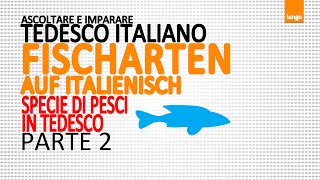 Italienischkurs Corso tedesco italiano  Fischarten  specie di pesci  parte 2 [upl. by Ilaw215]