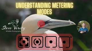 Understanding Metering Modes [upl. by Bentlee]