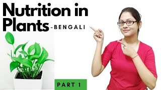 NCERT Class 7 Science Chapter 1 in Bengali  NUTRITION IN PLANTS [upl. by Roldan]