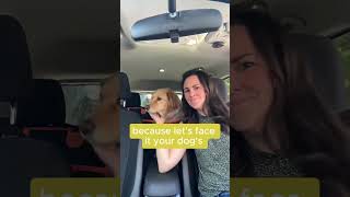 Get your dog car seat cover now at Mixoon 🔥 dogcarseatcover [upl. by Macswan]