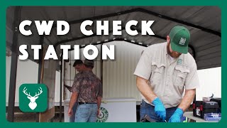 What to Expect at a CWD Check Station [upl. by Llenhoj646]