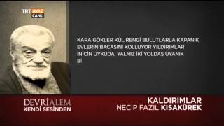 Necip Fazıl Kısakürekin Kendi Sesinden Kaldırımlar Şiiri  Devrialem  TRT Avaz [upl. by Allehs]