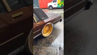 Blackboy’s Box Chevy Super Clean on 24’s Daytons [upl. by Triley]